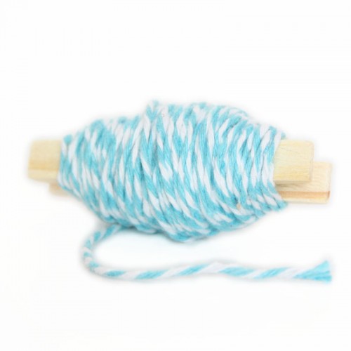 Fio Baker Twine Azul Claro